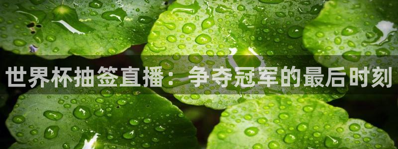 世界杯预选赛排名:世界杯抽签直播:争夺冠军的最后时刻