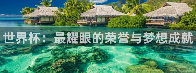 女足世界杯直播在线观看免费高清:世界杯:最耀眼的荣誉与梦想成就