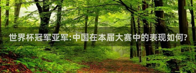 欧洲世界杯预选赛:世界杯冠军亚军:中国在本届大赛中的表现如何?